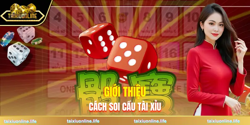 cach-soi-cau-tai-xiu-gioi-thieu