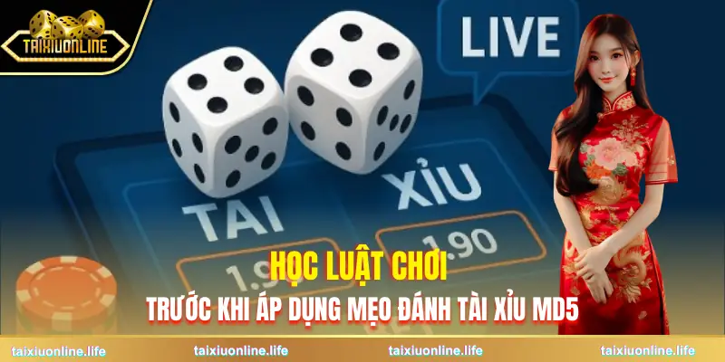 meo-danh-tai-xiu-md5-luat-choi