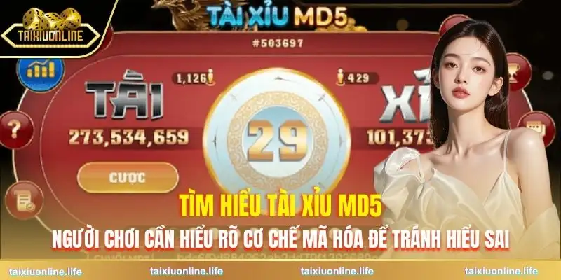 tai-xiu-md5-tim-hieu-ky-truoc-khi-tham-gia